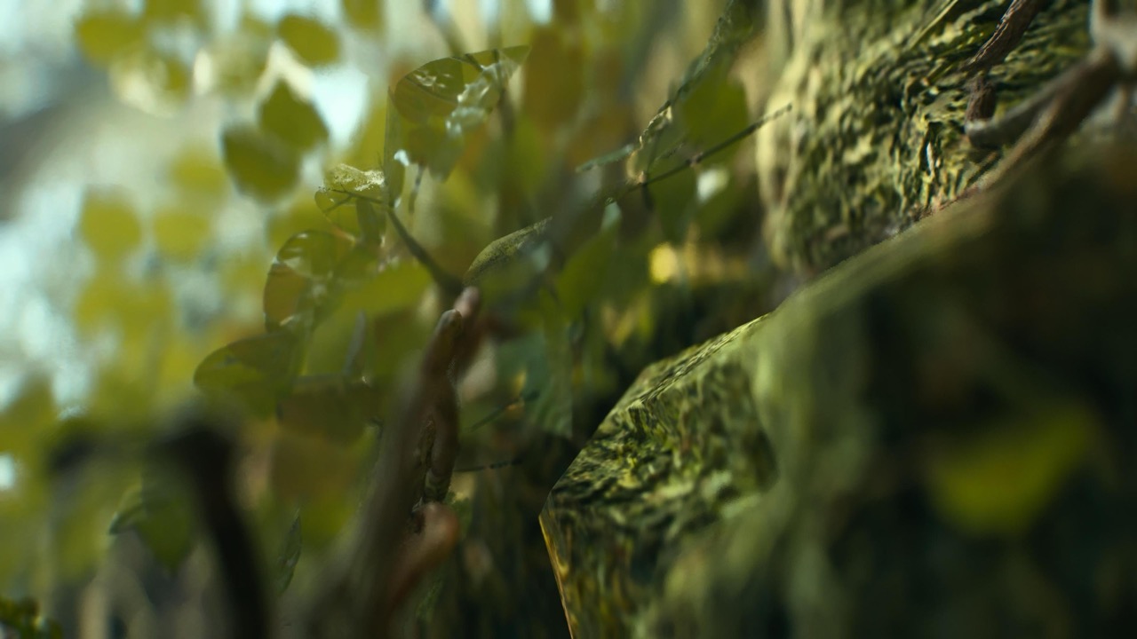 Studies on Breaking Immersion